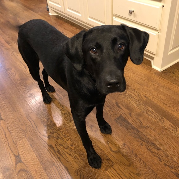 Meet your Posher, Kendra - Picture 7 of 11